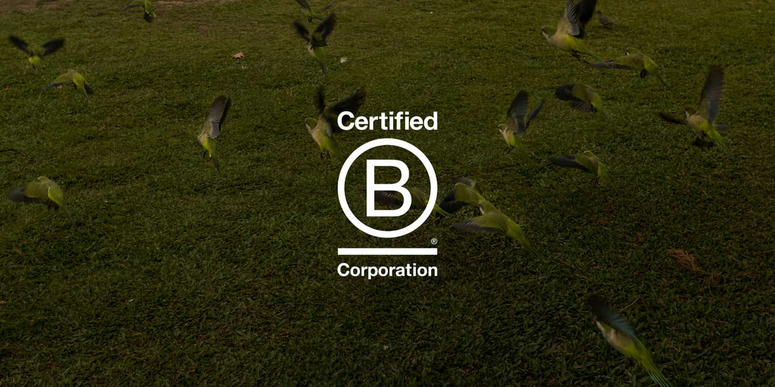 Certified for a better future