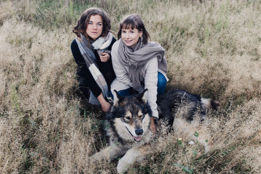 YarnSustain: Wolle aus Hundehaaren